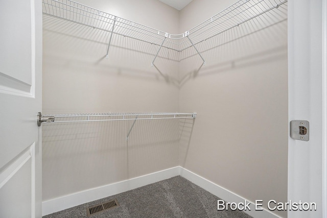 spacious closet with carpet floors