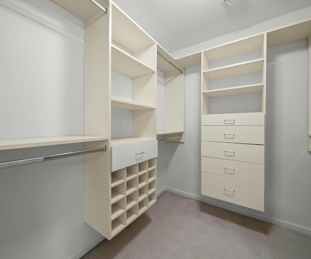 walk in closet with light carpet