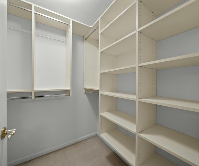 walk in closet with carpet flooring