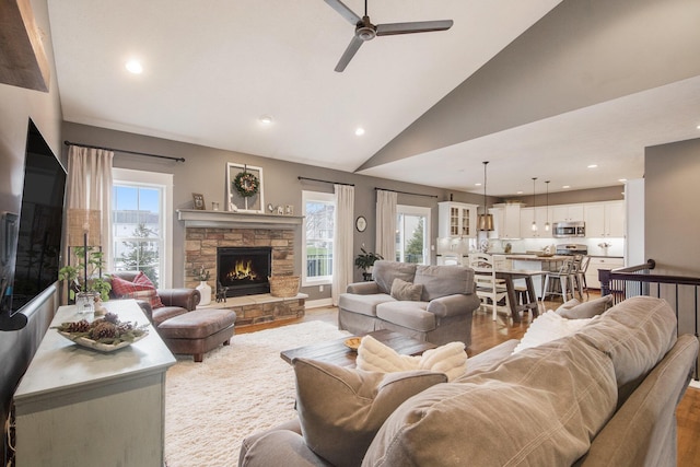 living room featuring a stone fireplace, a healthy amount of sunlight, and light hardwood / wood-style floors