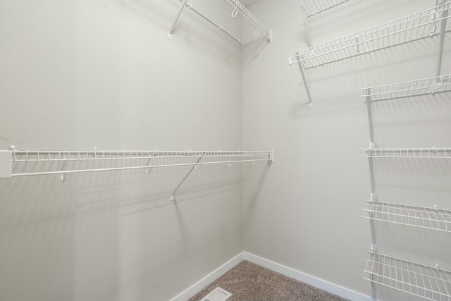 spacious closet featuring carpet