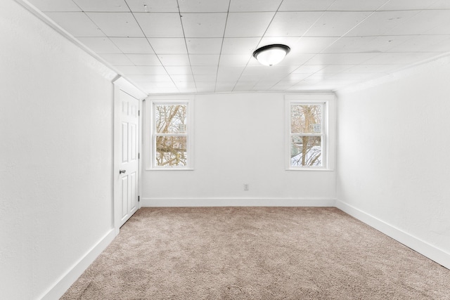 empty room with carpet and a healthy amount of sunlight