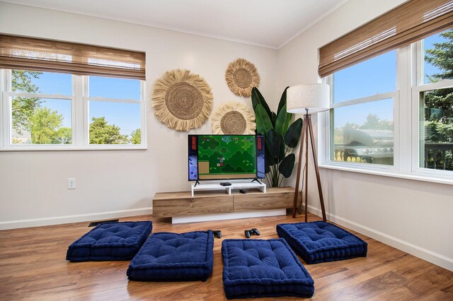 sitting room featuring wood-type flooring and ornamental molding