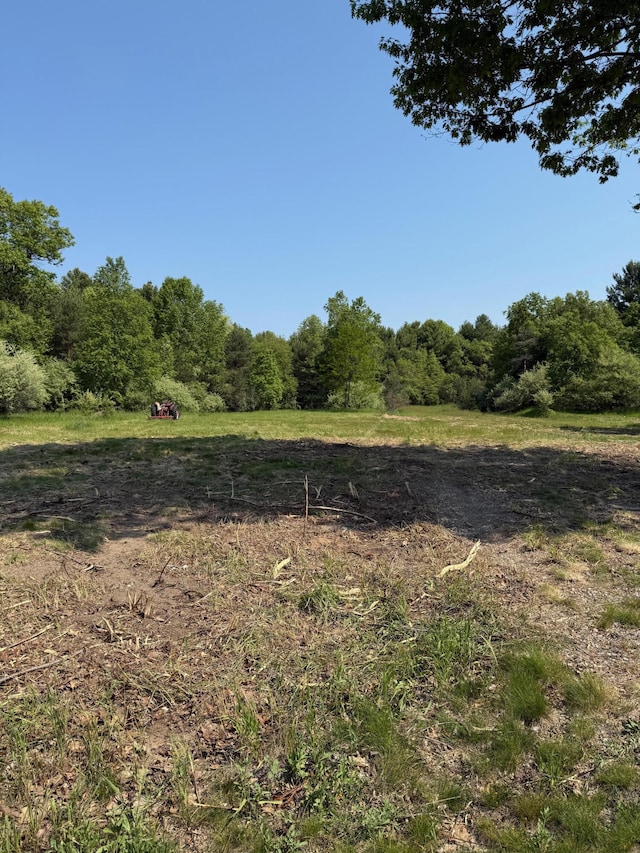 1130 E Parkdale Ave, Manistee, MI 49660