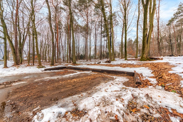 view of yard covered in snow