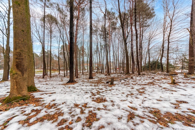 view of snowy landscape