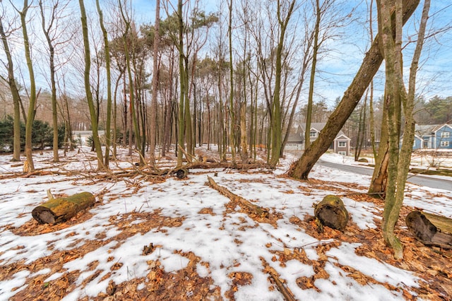 view of snowy yard