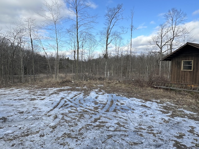 view of yard covered in snow