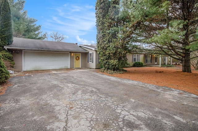 view of front facade with a garage