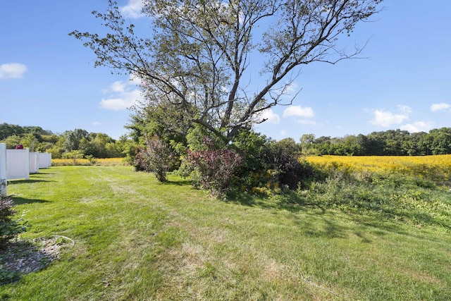 view of yard with a rural view