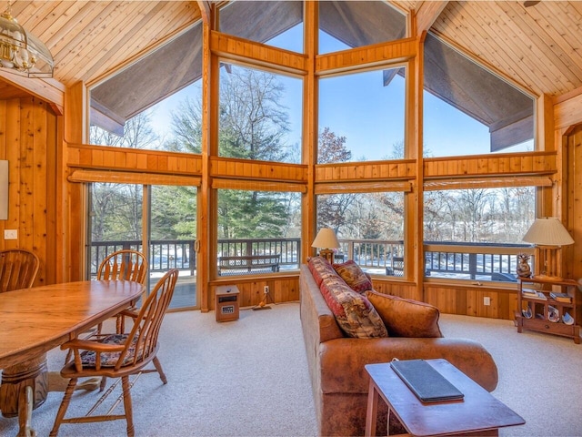 carpeted living room featuring wood ceiling, wooden walls, and a wealth of natural light