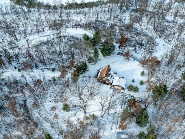 view of snowy aerial view