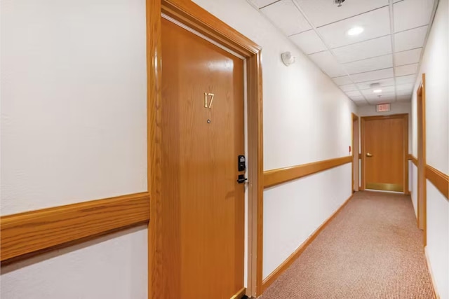 corridor with a drop ceiling and light colored carpet