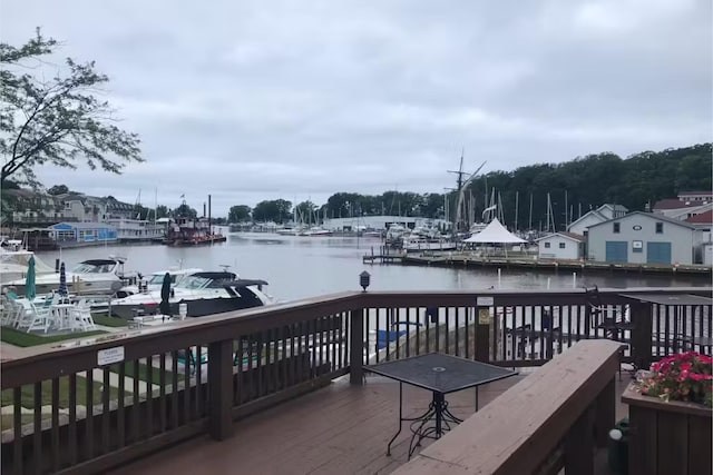 dock area with a water view