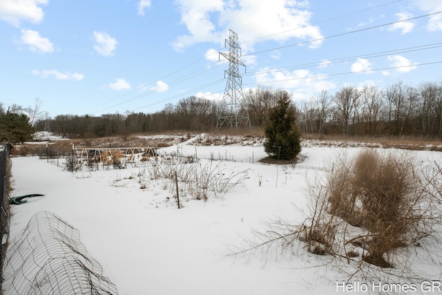 view of yard covered in snow