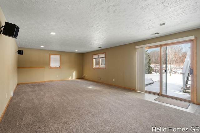 spare room with plenty of natural light, light carpet, and a textured ceiling