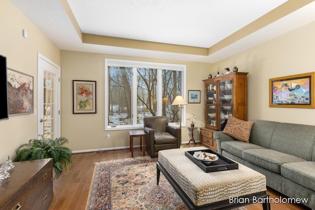 living room featuring wood-type flooring and a tray ceiling