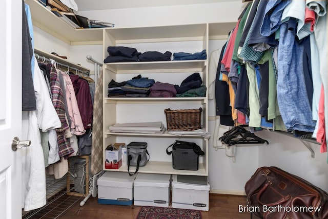 spacious closet with dark wood-type flooring