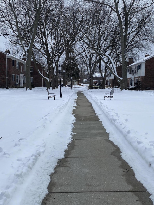 view of yard covered in snow