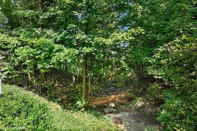 view of nature with a view of trees