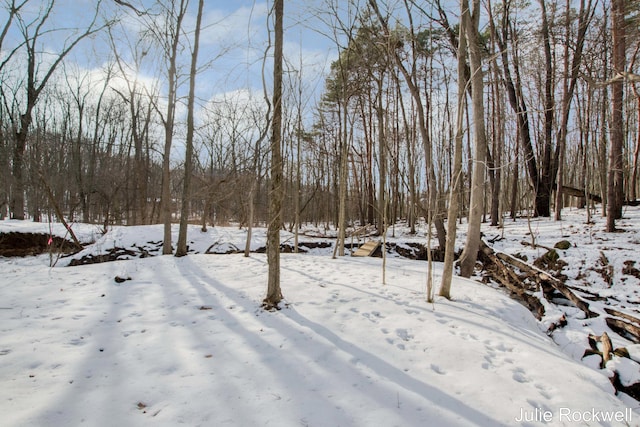 view of snowy yard