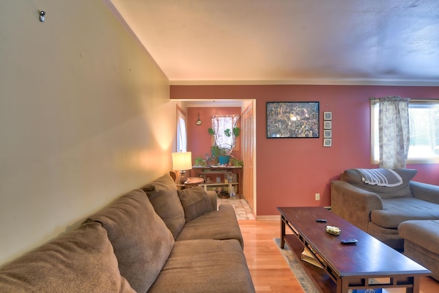 living room featuring light hardwood / wood-style flooring