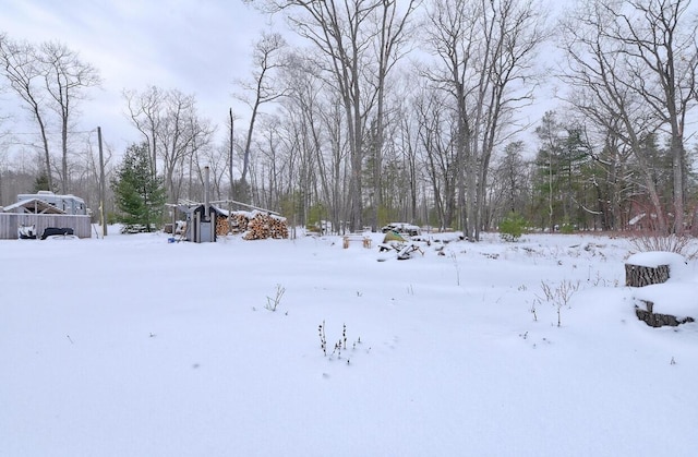 view of yard covered in snow