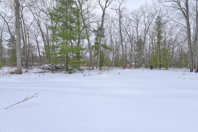 view of yard covered in snow