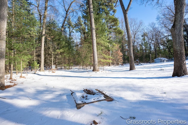 view of yard covered in snow