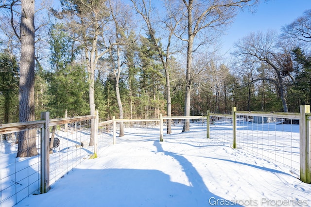 view of yard layered in snow