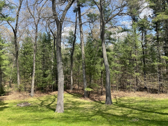 6474 Blackhawk Ln, Twin Lake, MI 49457 - view of wooded area