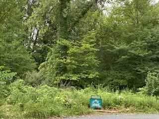 48681 Valley Ct, Paw Paw, MI 49079 - photo 3
