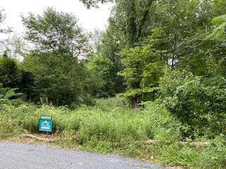 48681 Valley Ct, Paw Paw, MI 49079 - photo 2