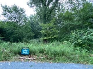 48681 Valley Ct, Paw Paw, MI 49079 - photo 1
