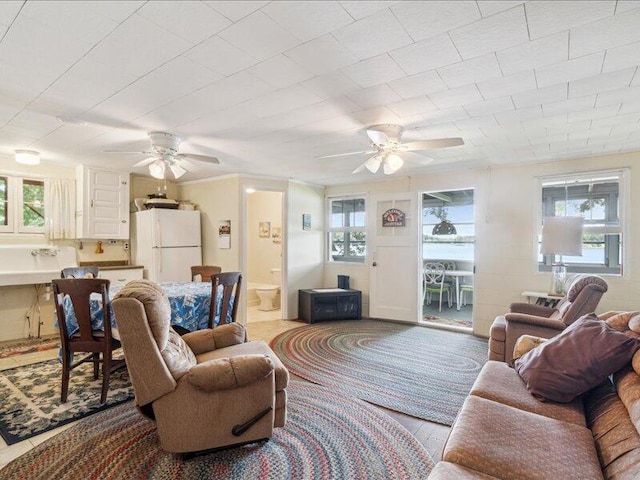 living room featuring a wealth of natural light and ceiling fan