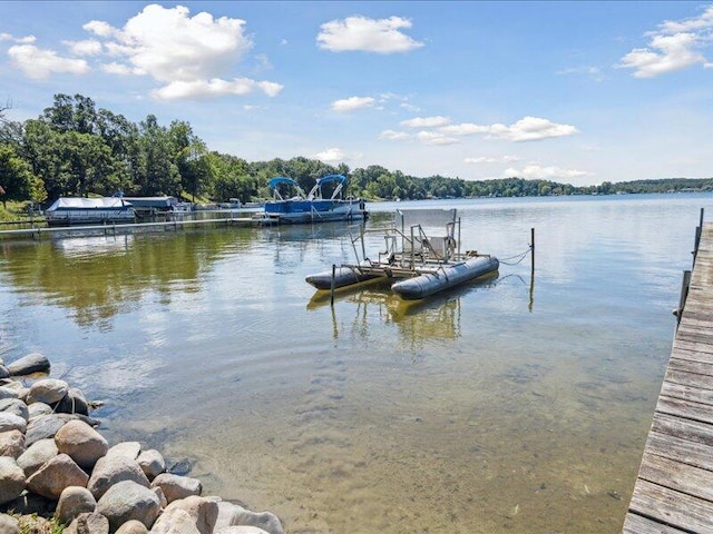 dock area with a water view