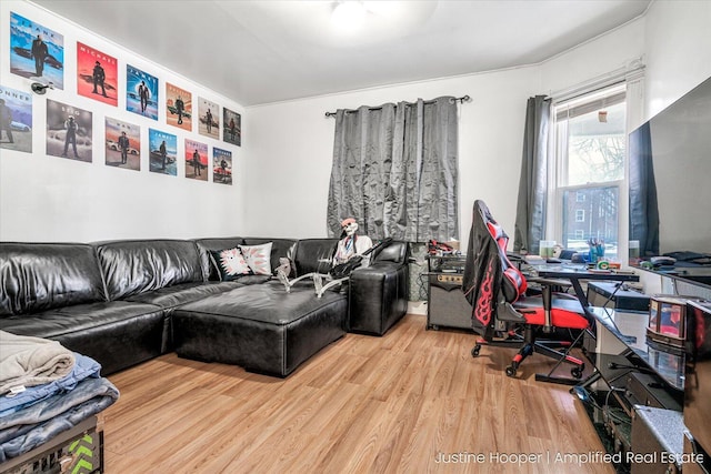 living room featuring light hardwood / wood-style floors