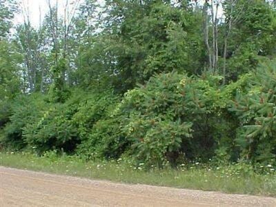 119th Ave, Fennville MI, 49408 land for sale