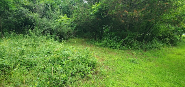 193 Ellis Rd, Battle Creek, MI 49037 - photo 34