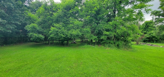 193 Ellis Rd, Battle Creek, MI 49037 - photo 30