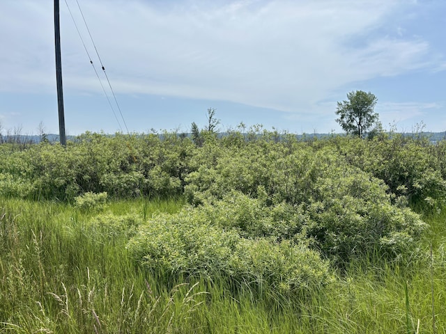 001 W Fairway, Onekama, MI 49675 - photo 3