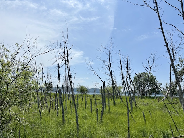 001 W Fairway, Onekama, MI 49675 - photo 7