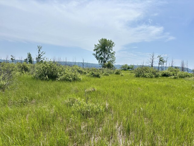 001 W Fairway, Onekama, MI 49675 - photo 4