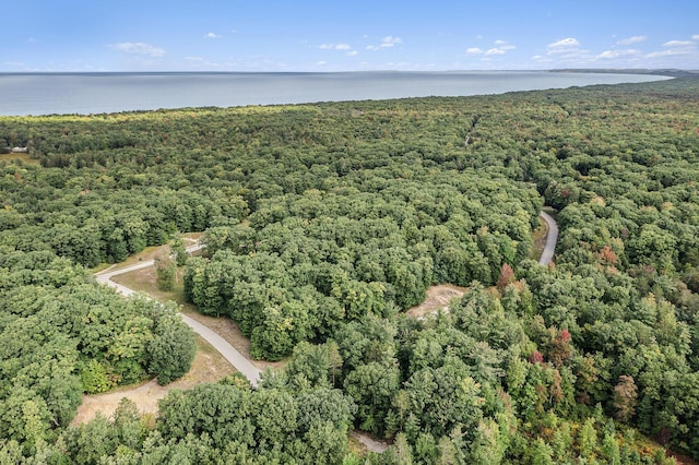 LOT17 Pine St, Mears MI, 49436 land for sale