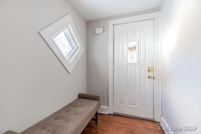 entrance foyer with hardwood / wood-style flooring