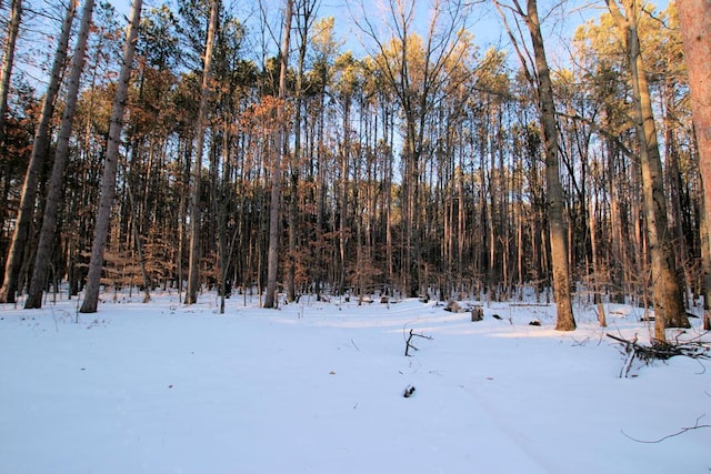 view of snow covered land