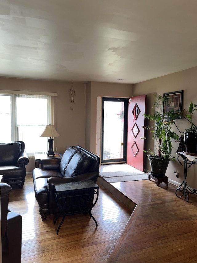 living room with a healthy amount of sunlight and hardwood / wood-style floors