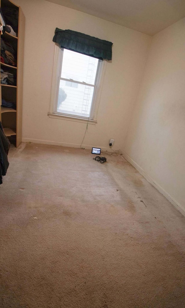 spare room with carpet floors