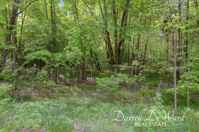 8690/8680 Greeley Ct NE, Rockford, MI 49341 - photo 15