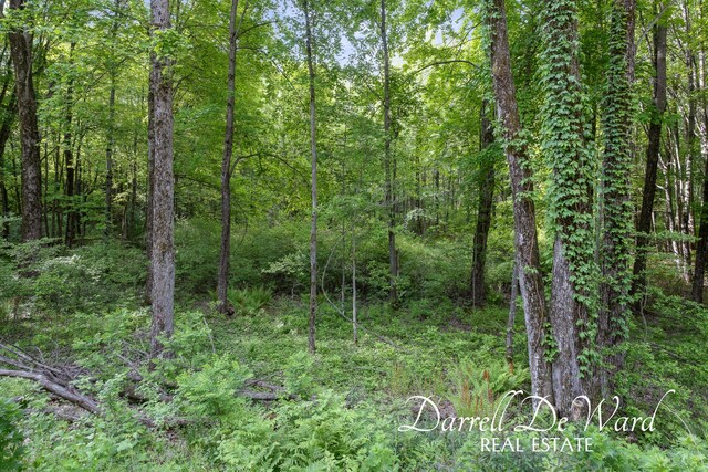 8690/8680 Greeley Ct NE, Rockford, MI 49341 - photo 24